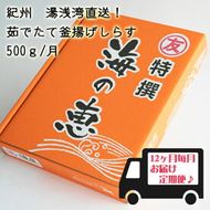 紀州湯浅湾直送！海の恵　茹でたて釜揚げしらす (冷蔵) 【定期便】500ｇ×12回_C6018n