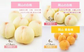 桃 定期便 2026年 先行予約 岡山 の 桃 食べ比べ 3回コース もも モモ 岡山県産 国産 フルーツ 果物 ギフト