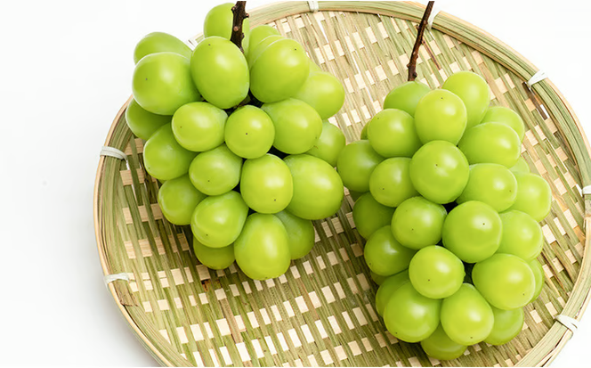 ぶどう 2026年 先行予約 シャイン マスカット 晴王 2房 （1房 600g以上） 化粧箱入り マスカット ブドウ 葡萄 岡山県産 国産 フルーツ 果物 ギフト 高級ぶどう 大粒 種なし 贈答品 [№5735-1461]