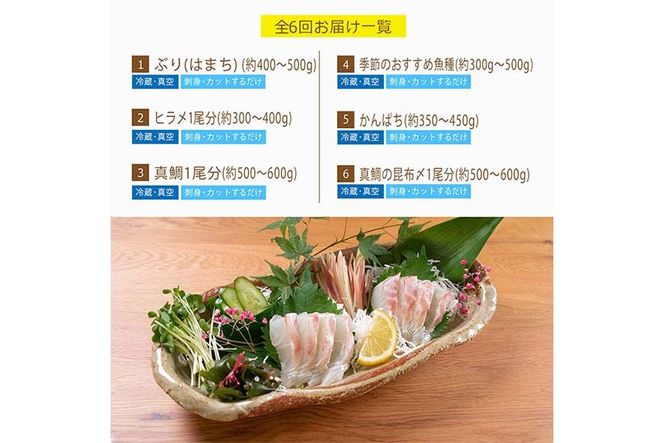 【北海道・離島配送不可】＜定期便・全6回(連続)＞旬の鮮魚(6ヶ月コース)お刺身 お刺し身 魚介 海鮮 漬け丼 ブリ ぶり ヒラメ 真鯛 カンパチ お楽しみ【UZ-10】【請関水産】
