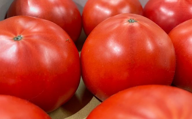 ns140-002 味恋とまとギフトBOX