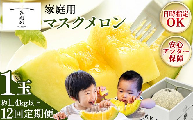 【12回定期便】一果相伝マスクメロン 家庭用 1玉入り- めろん 青肉 自宅用 ジューシー 果汁 至福 美味しい 甘い あまい 篤農 産地直送 高知県 香南市 常温 Wtn-0051