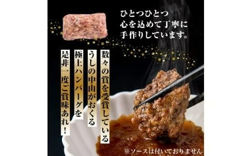【定期便全3回】＜A4・A5等級＞鹿児島県産黒毛和牛100%使用 極上手ごねハンバーグ 計4.5kg（150g×10個・全3回） t0045-017