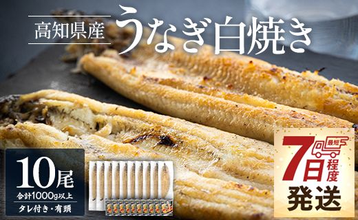 うなぎ 国産 白焼き 1kg以上 10尾×100～120g 【7日程度で発送】 鰻 大容量 - 蒲焼き タレ付き 国産 鰻 ウナギ 有頭 ご飯のお供 吉川水産 高知県 香南市 冷凍 yw-0082