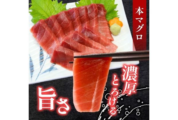 本マグロ　南マグロ　中トロ各１柵　（計４００ｇ）　食べ比べ まぐろ 鮪 鮮魚 魚 柵 ２種 贅沢 高級 人気