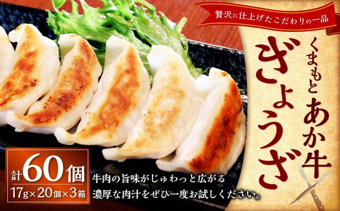 yF{VszF{a傤60i傤20×3jv60  Lq 傤 Lq     јa a Y F{ Vs Ⓚ