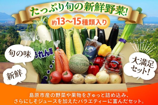 AJ315 季節の野菜・果物セット 13～15品 しそジュース付き [ 野菜 詰合せ 長崎県 島原市 ]