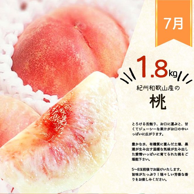 【全3回】紀州和歌山産旬のフルーツ定期便 (みかん・清見オレンジ・桃)【tkb381】
