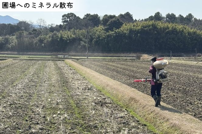 【A5-637】【令和8年産】看護師がミネラルで育てたお米〈祝-IWAI-〉玄米2kg