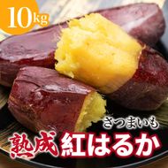 【先行予約】 にかほ市 象潟町 大須郷産「 さつまいも 2ヶ月 熟成 紅はるか 10kg 」【 産地直送 国産 芋 おいも 定番 焼き芋 イモ 野菜 長期熟成 秋田県 にかほ】