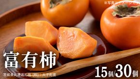富有柿 15個 約3kg or 30個 約10kg 【11月より発送開始】（茨城県共通返礼品 [柿]：大子町産） | 柿 かき