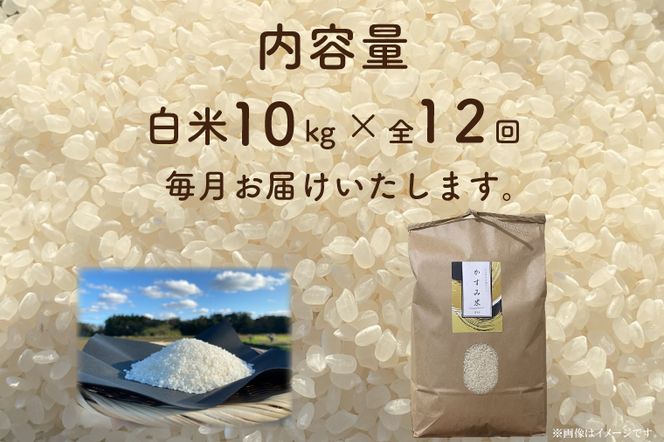 【先行予約】【2026年9月末より順次発送開始】【茨城県共通返礼品/潮来市】【12ヶ月定期便】栽培期間中出来るだけ農薬を減らしたかすみ米 10kg(白米)　茨城県潮来市産(BI-92)