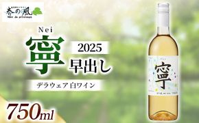 春日井ワイナリー春の風 2025(寧 早出し)デラウェア 白ワイン 750ml