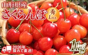 FYN6-251 ≪2026年先行予約≫山形県産 さくらんぼ 品種おまかせ(佐藤錦・紅秀峰など) 1kg(500g×2) 秀/L以上 バラパック詰め 2026年6月中旬頃より発送 果物 くだもの フルーツ 夏果実 サクランボ チェリー 桜桃 高級 化粧箱 ギフト箱 贈り物 贈答 ギフト プレゼント 自宅 家庭 産地直送 山形県 西川町 月山