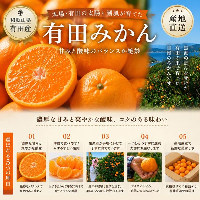 ［先行予約］和歌山県産 有田みかん 大玉 大粒 9kg 2L～3L BA50