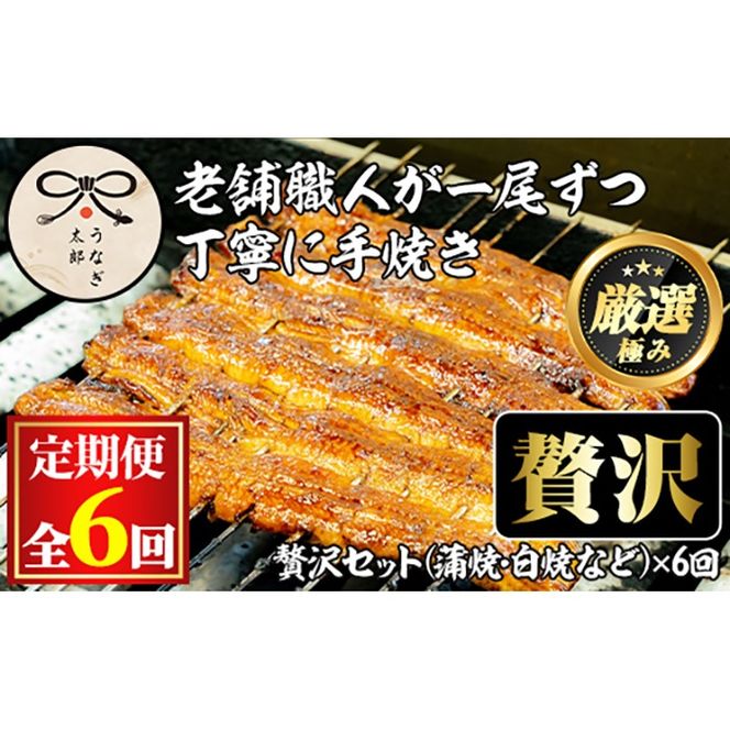 【3003712b】＜定期便・全6回(連続)＞鹿児島県産うなぎの贅沢セット(蒲焼き・白焼き・きざみ鰻など) うなぎ 高級 ウナギ 鰻 国産 たれ 鹿児島 蒲焼き 白焼き きざみ鰻 焼肝串 【うなぎ太郎】
