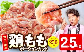 mrz0446 【小分け】国産鶏もも肉 2.5kg（250g×10P） 【カット済み 氷温熟成×極味付け 簡単調理 訳あり サイズ不揃い 鶏肉 とり 】