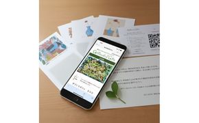 Greenery Gift（福祉のギフト）メッセージカードタイプ（3,000円分） 141305_NE01