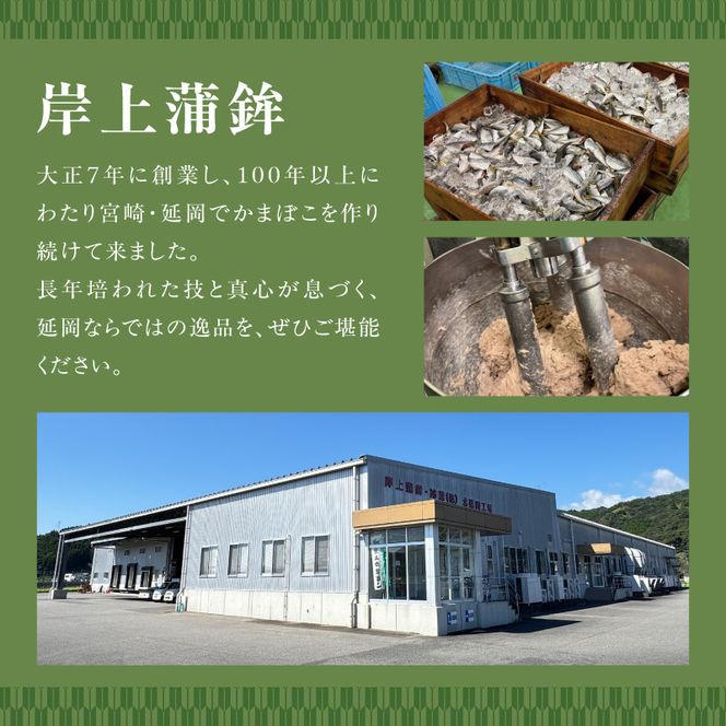 ふるさと延岡 岸上の味 体感セット N006-YA5519