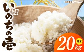 R7年産　「いのちの壱」（20kg）＜農家直送＞ ［208K12］ 希少米 20kg 米 精米 白米 ご飯 国産 産地直送 甘い 粘り強い もちもち お取り寄せ こだわり米 愛知県 小牧市 送料無料