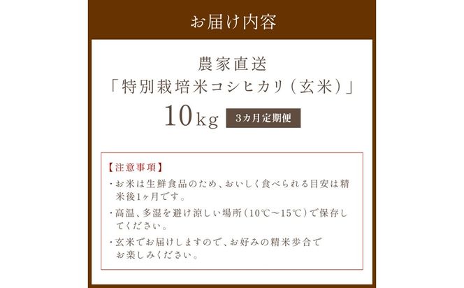 【3ヶ月定期便】2026年産 京都・京丹後峰山 特別栽培米コシヒカリ 10kg 【玄米】 1等米 検査済証付　ふるさと納税 米 玄米 定期便 京都 コシヒカリ 特別栽培 ふるさと納税 玄米 定期便　MF00088