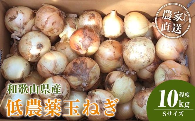 ya̎R쒬zm2026NEs\n_Ƃ񒼑 _ʂ˂ STCY 10kgxm4{`7{\nmKF18n 303446_BE90023