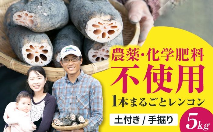 ＼毎年8月中旬より順次発送/ レンコンSEIMEI 5kg レンコン 蓮根 根菜 野菜/株式会社水谷グルッポ [AEBX002]