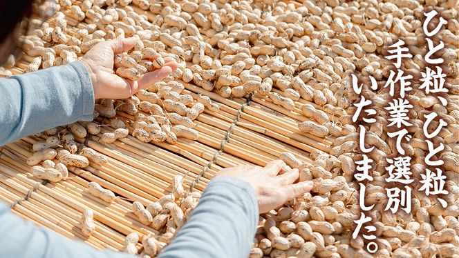 から付き落花生 600g （100g×6袋） 煎りざや落花生 おつまみ おやつ ピーナッツ 殻付き ナカテユタカ [EH22-NT]