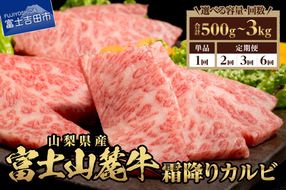 山梨県産 富士山麓牛 霜降りカルビ 500g 【選べるお届け回数 1回 / 2回 / 3回 / 6回 】  定期便 牛肉 焼肉 BBQ 国産 富士山麓牛 霜降り 精肉 冷凍 山梨 富士吉田