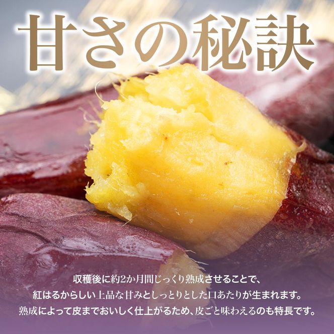 【先行予約】 にかほ市 象潟町 大須郷産「 さつまいも 2ヶ月 熟成 紅はるか 5kg 」【 産地直送 国産 芋 おいも 定番 焼き芋 イモ 野菜 長期熟成 秋田県 にかほ】
