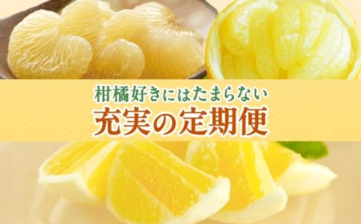 【4回定期便】バラエティ文旦 贅沢コース〈水晶文旦・温室文旦・贈答品 土佐文旦 〉/ 文旦 ぶんたん ブンタン 土佐文旦 水晶文旦 温室文旦 柑橘 フルーツ 果物 くだもの 定期便【白木果樹園】 [BQAI061]
