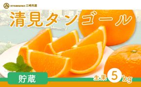 【先行予約】清見タンゴール（貯蔵・生果5kg）※離島への配送不可（2026年4月下旬より順次発送予定） IKTBD007