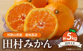 【2026年先行予約】和歌山 湯浅町産 田村みかん 約5kg【2Sサイズ】_ZE6486