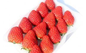 【2027年発送！先行予約】大きめいちご「紅ほっぺ」280g×2パック 222232_DD004
