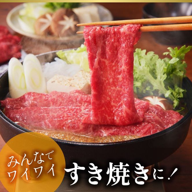 宮崎牛・モモスライス　N023-YZA405