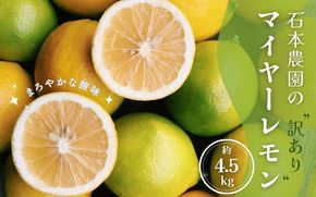 訳あり 石本農園の マイヤーレモン サイズ混合 約4.5kg 【12月中旬から12月末までに順次発送】/ レモン 柑橘 れもん 檸檬 マイヤー 紀宝【mis019】