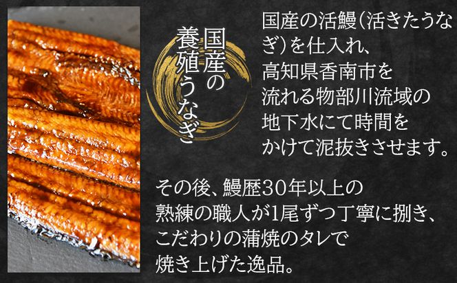 国産蒲焼きうなぎ ２５０ｇ ８尾 計２０００ｇ fb-0172