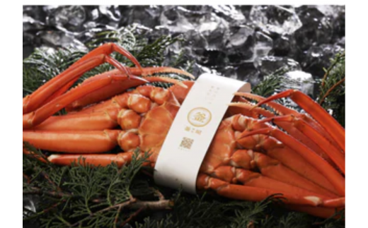 【香住ガニ 釜茹で香住ガニ1杯（500g～600g）自家製濃厚蟹みそ1個（40g）セット 冷蔵】 日本海 香住 漁港 水揚げ 新鮮 紅 べに ずわいがに ベニ ズワイガニ 国産 カニ 蟹 かに 甲羅みそ かにみそ カニミソ 蟹味噌 出汁 だし カニ身 濃厚 兵庫県 香美町 カネリョウ 39-01