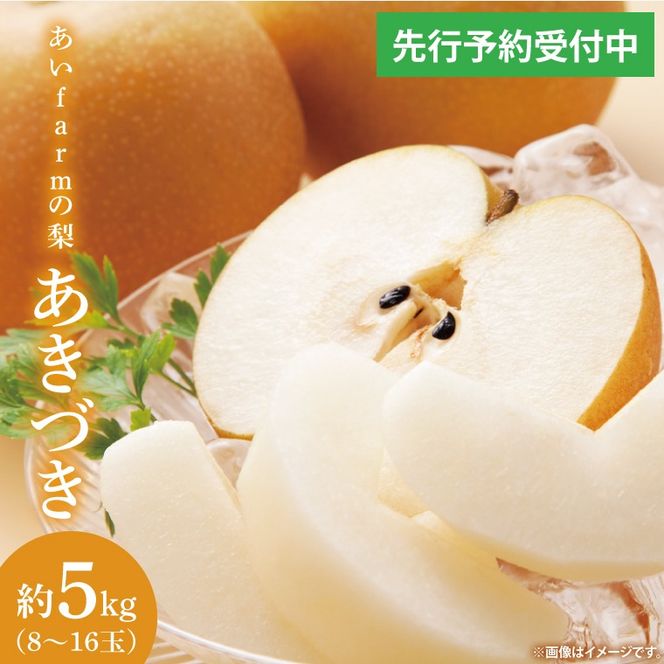 【先行予約】【数量限定】あい farm の梨 あきづき 5kg (8～16玉) | 9月下旬より順次発送 梨 なし フルーツ 果物 新鮮 旬 梨園 益子町産 (DQ003)