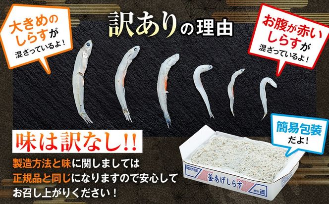 訳あり 釜揚げ しらす 350g～2kg 小分け  減塩 無添加 無着色 冷凍 愛知県 南知多町 ご飯 ごはん 丼 料理 国産 カネ成 シラス 人気 おすすめ