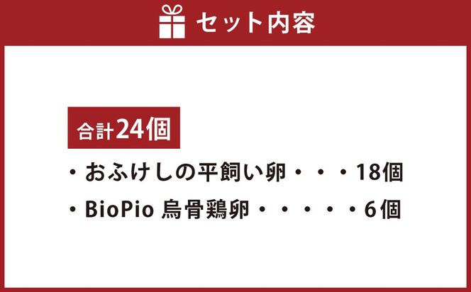 北海道 豊浦 おふけしの平飼い卵18個＋BioPio 烏骨鶏卵 6個