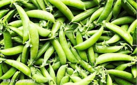 【全12回定期便】【 福岡県 糸島産 】 朝採れ 野菜 セット （ 12品 前後 ）《糸島》 【オーガニック ナガミツファーム】 	[AGE026]