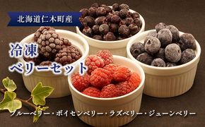 北海道仁木町産 冷凍 ベリーセット〈ブルーベリー・ボイセンベリー・ラズベリー・ジューンベリー〉各140g 計5パック 果物 フルーツ 冷凍フルーツ 有機栽培 樹上完熟 ひんやりスイーツ ジャム 製菓 加工用  [株式会社 自然農園]