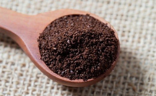 【定期便】雪町コーヒー 粉（100g）3個セット×3回 自家焙煎 低温貯蔵 エチオピア 北海道 沼田町 n-0126
