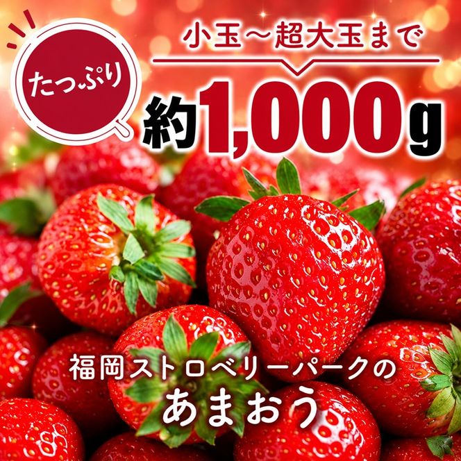 訳あり いちご 2027年2月中旬より発送 あまおう サイズ色々 4パック 約1kg 配送不可 離島 果物 フルーツ 福岡県産あまおう 
