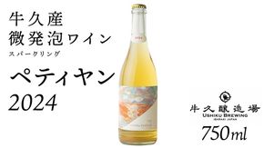 恵野果 牛久ペティヤン 2024 茨城県産 牛久醸造場 日本ワイン ワイン お酒 贈り物 上品 果実 クリスマス 誕生日 微発泡 スパークリング シャルドネ フルーティ 辛口 ライトボディ