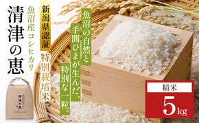【令和8年産 先行予約】魚沼産特別栽培米コシヒカリ［清津の恵］精米5kg