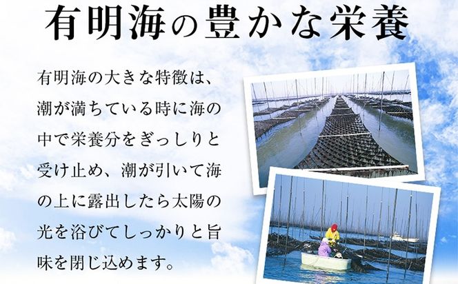 訳あり 有明海産 焼き海苔 2切10枚×10袋（100枚分）福岡有明のり 海苔 のり 有明海苔 有明 福岡県 福岡 九州 グルメ お取り寄せ