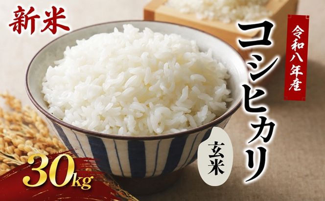令和8年新米　 國方さんの「コシヒカリ」30kg（玄米）米 玄米 コシヒカリ  