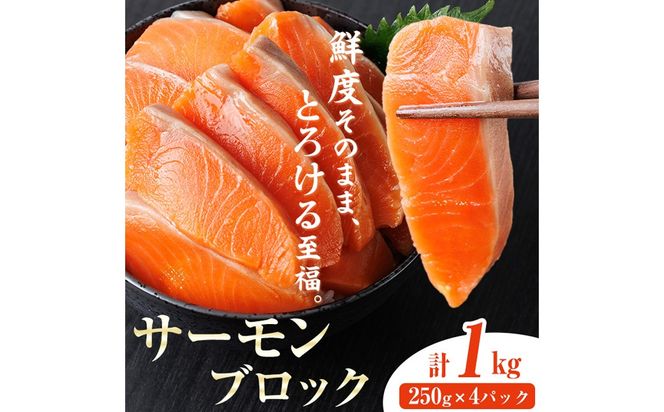生食用 サーモン ブロック(計1kg・250g×4P) 鮭 小分け 真空 パック 冷凍 刺身 シャケ サケ 魚 魚介 【AW-100】【丸正水産】